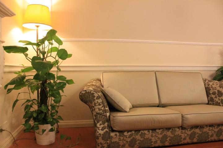 Hotel Coluccini มารินา ดิ เปียตราซันตา ภายนอก รูปภาพ
